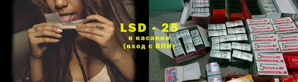 шишки Снежногорск