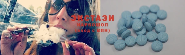 шишки Снежногорск