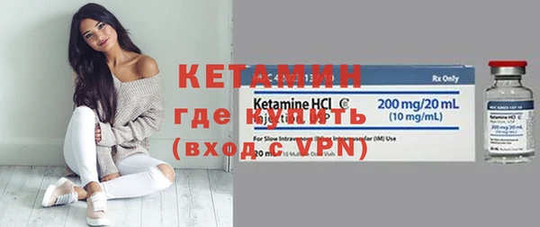 шишки Снежногорск