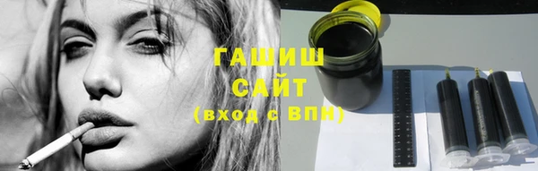 шишки Снежногорск