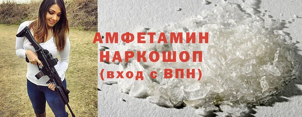 шишки Снежногорск
