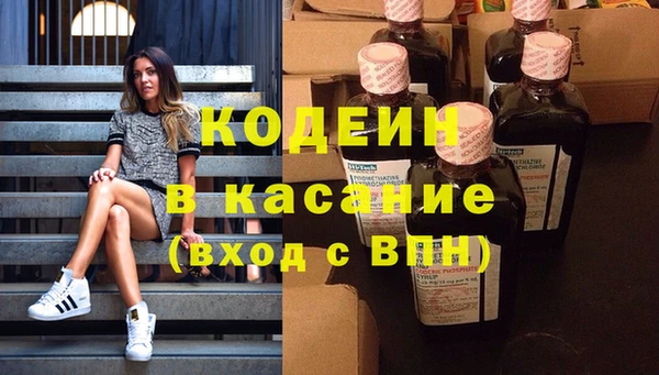 шишки Снежногорск