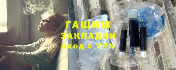 шишки Снежногорск