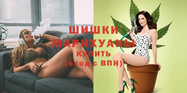 шишки Снежногорск
