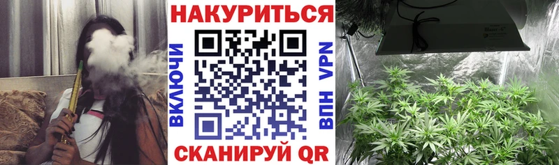 Канабис семена Суздаль